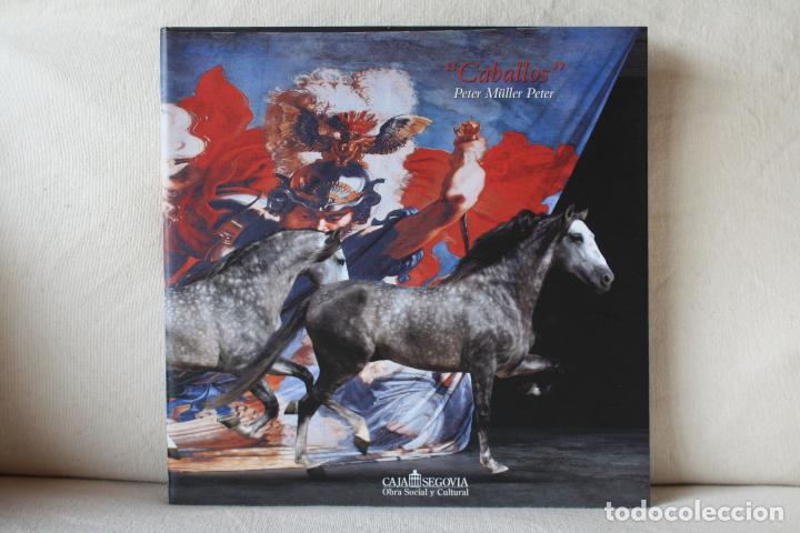 Gebrauchte B&uuml;cher: CABALLOS, PETER M&Uuml;LLER PETER. CAJA SEGOVIA, OBRA SOCIAL Y CULTURAL, 2008.