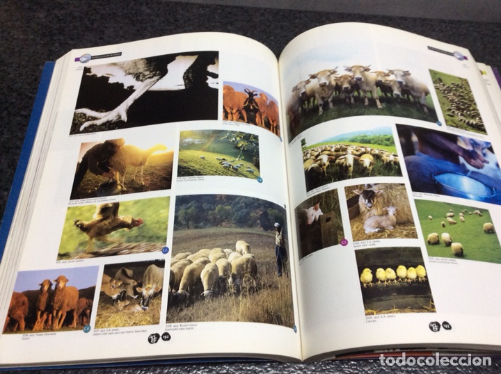 Second hand books: AGE VOL. 4 LIBRO DE FOTOGRAFIA Y DISE&Ntilde;O 384 PAGINAS - FOTOSTOCK