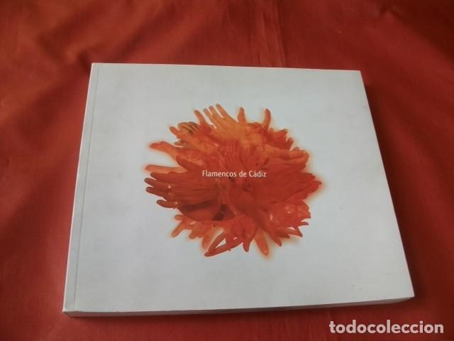 Libri di seconda mano: Flamencos de C&aacute;diz Fotografias de todos los artistas flamencos de C&aacute;diz - Jes&uacute;s Mico.