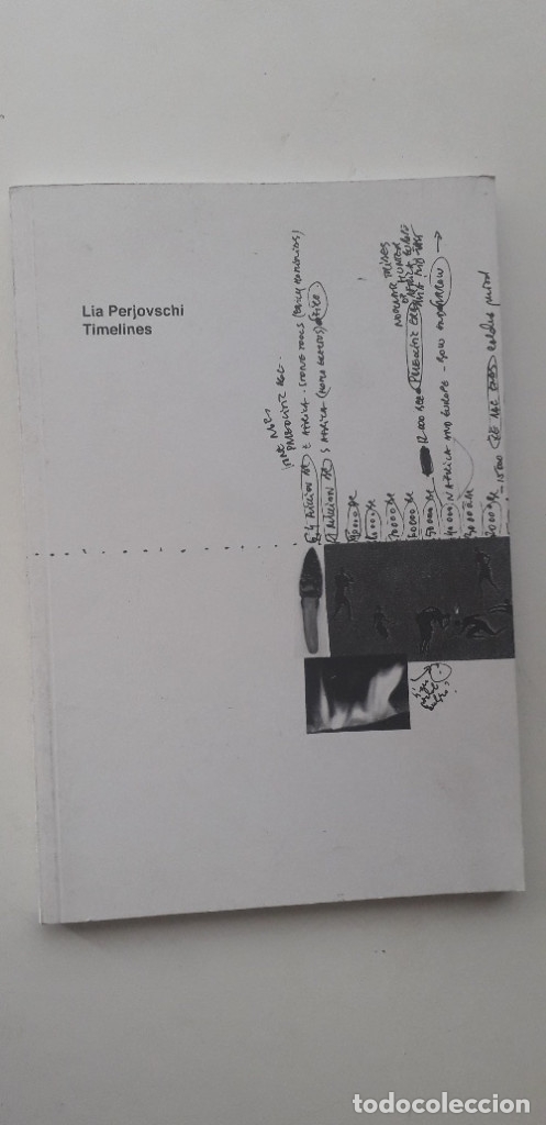 Gebrauchte B&uuml;cher: Timelines - Lia Perjovschi