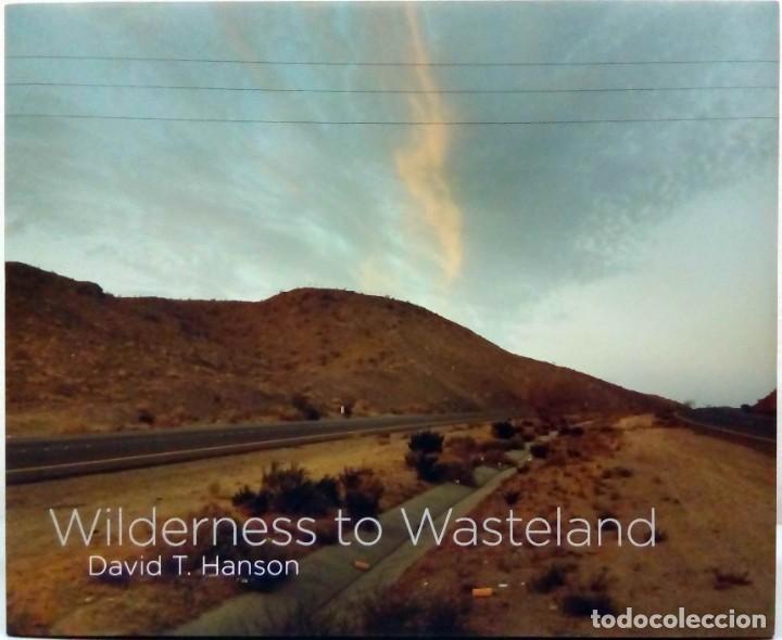Second hand books: DAVID T. HANSON - WILDERNESS TO WASTELAND. TAVERNER PRESS, 2019.