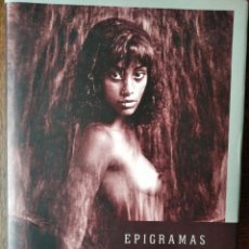 Libros de segunda mano: EPIGRAMAS, DESNUDOS ARTISTICOS- FOTOGRAFIAS ROBERTO SALAS 1994-2004- LIBRO GRAN FORMATO -. Lote 194130522