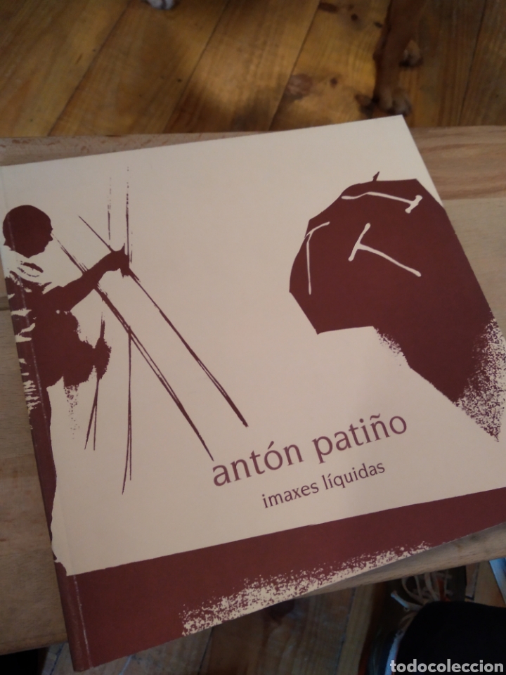 Libri di seconda mano: ANT&Oacute;N PATI&Ntilde;O. IMAXES L&Iacute;QUIDAS #4393