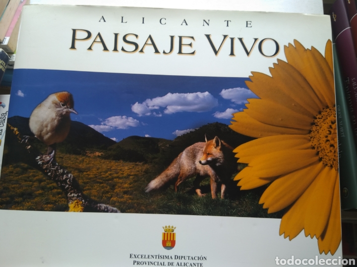 Second hand books: ALICANTE PAISAJE VIVO/DIPUTACI&Oacute;N