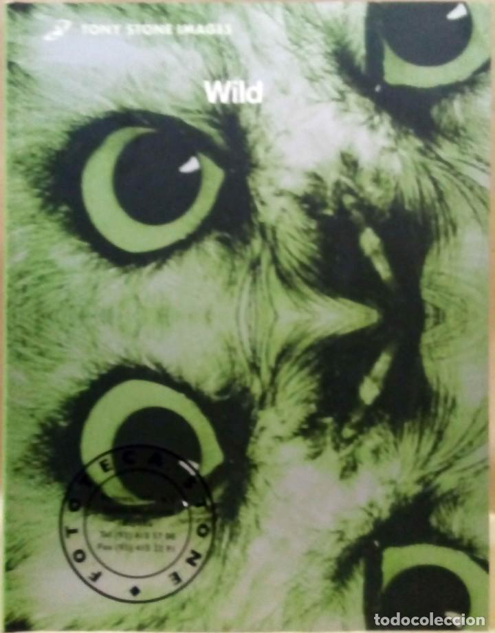 Libri di seconda mano: TONY STONE IMAGES. WILD. 1998.