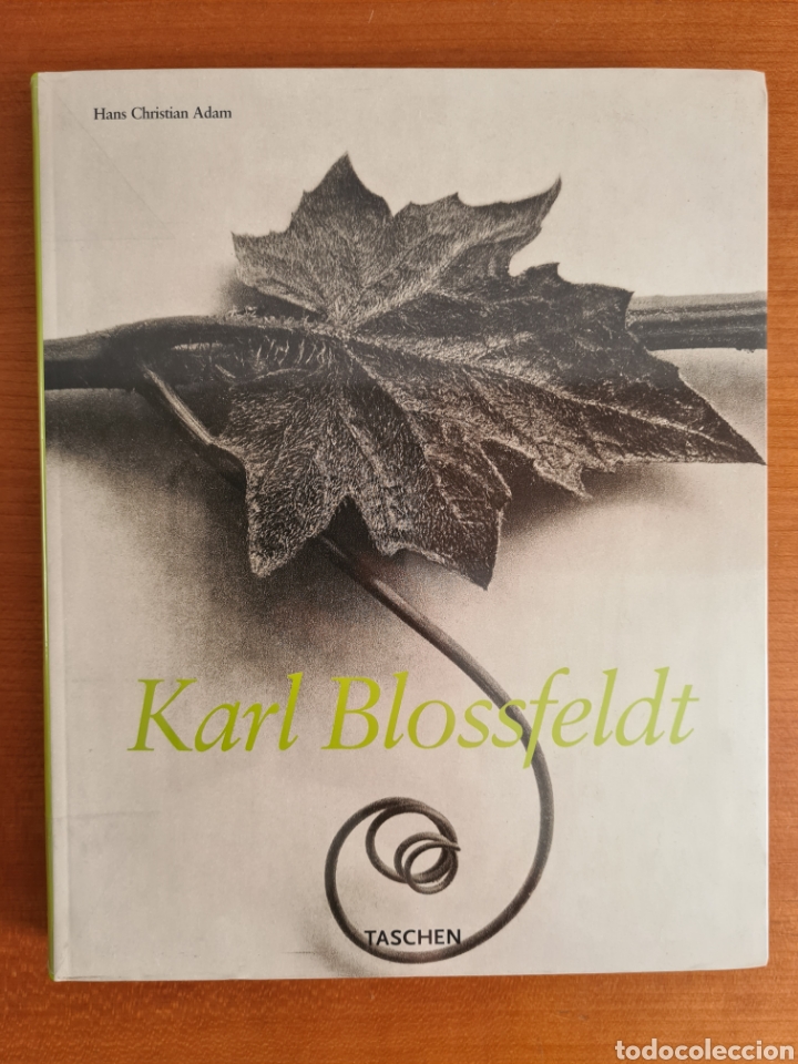 Libri di seconda mano: Karl Blossfeldt 1865-1932 - Fotograf&iacute;a de Plantas - Bot&aacute;nica Dise&ntilde;o