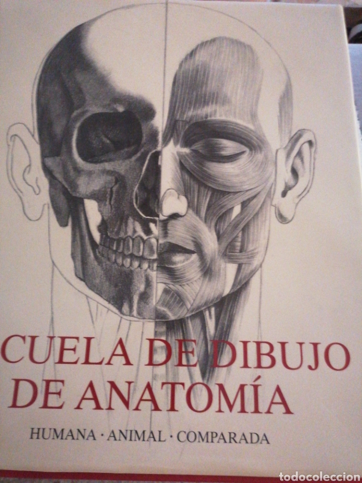 Second hand books: Escuela de dibujo de anatom&iacute;a humana_ animal_ comparada