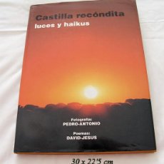 Libros de segunda mano: CASTILLA RECONDITA LUCES Y HAIKUS 1997. Lote 220687721