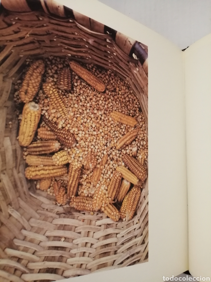 Libros de segunda mano: ZERO HUTS (Primera edici&oacute;n) - Foto 4