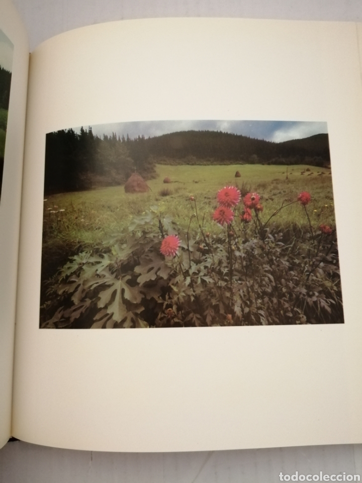 Libros de segunda mano: ZERO HUTS (Primera edici&oacute;n) - Foto 7