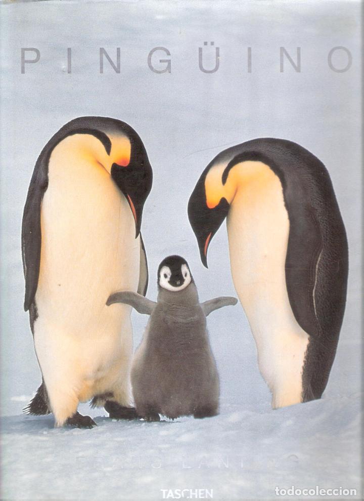 Libros de segunda mano: PINGUINO. - FRANS LANTING - Foto 1