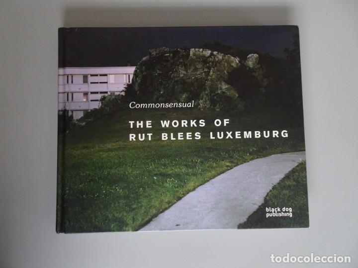 Libri di seconda mano: RUT BLEES LUXEMBURG. COMMONSENSUAL - THE WORK OF RUT BLEES LUXEMBURG