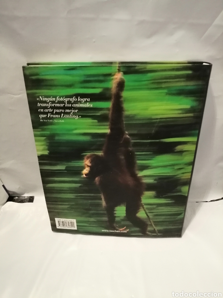 Libros de segunda mano: JUNGLAS - Foto 2
