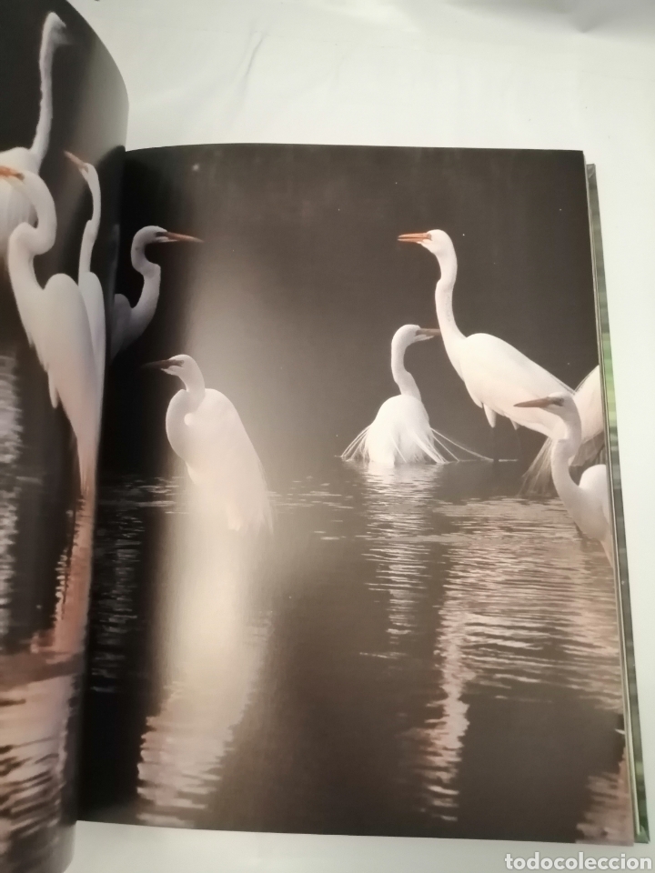Libros de segunda mano: JUNGLAS - Foto 3