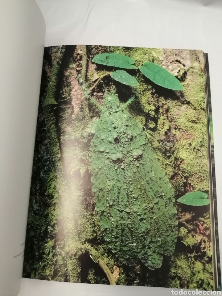 Libros de segunda mano: JUNGLAS - Foto 4