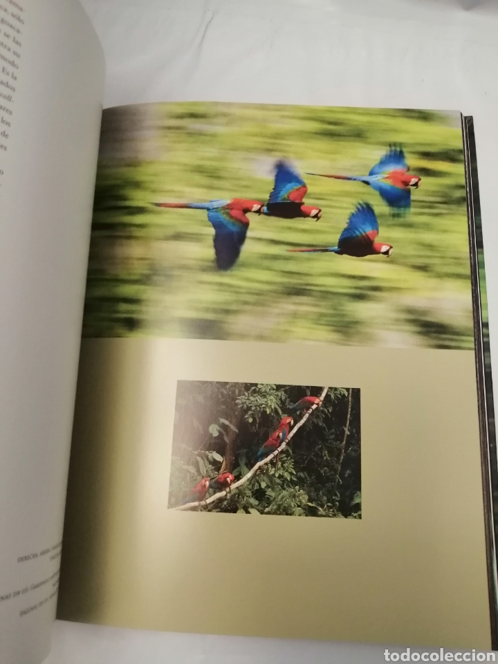 Libros de segunda mano: JUNGLAS - Foto 5