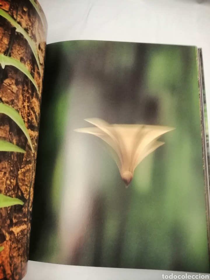 Libros de segunda mano: JUNGLAS - Foto 6