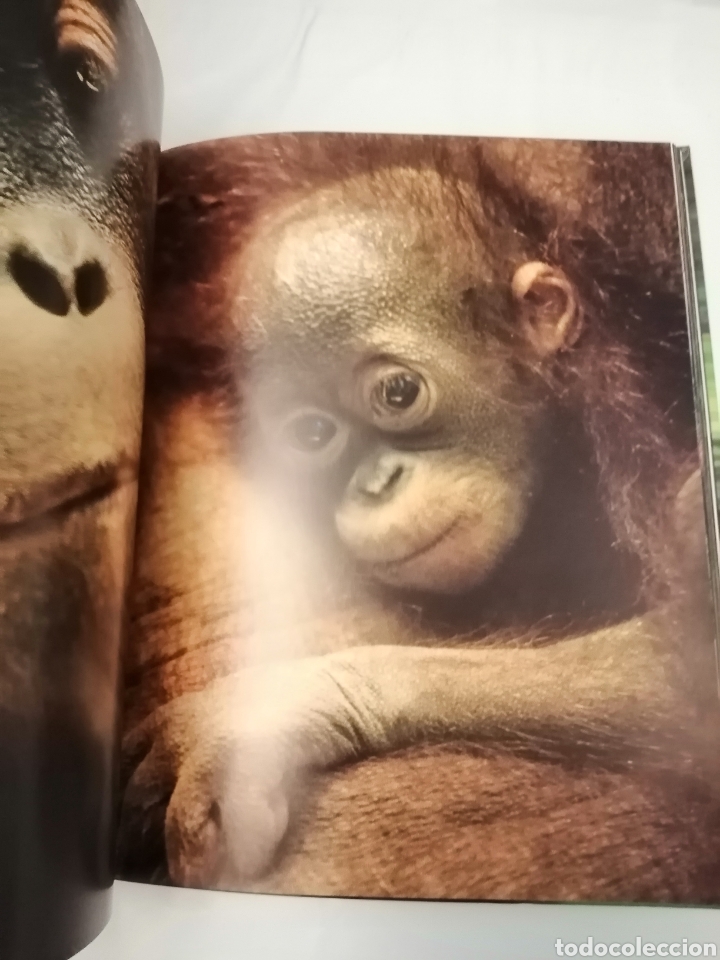 Libros de segunda mano: JUNGLAS - Foto 7
