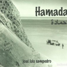 Libros de segunda mano: HAMADA DE JOSÉ LUIS SAMPEDRO. SAHARAUIS, SAHARA