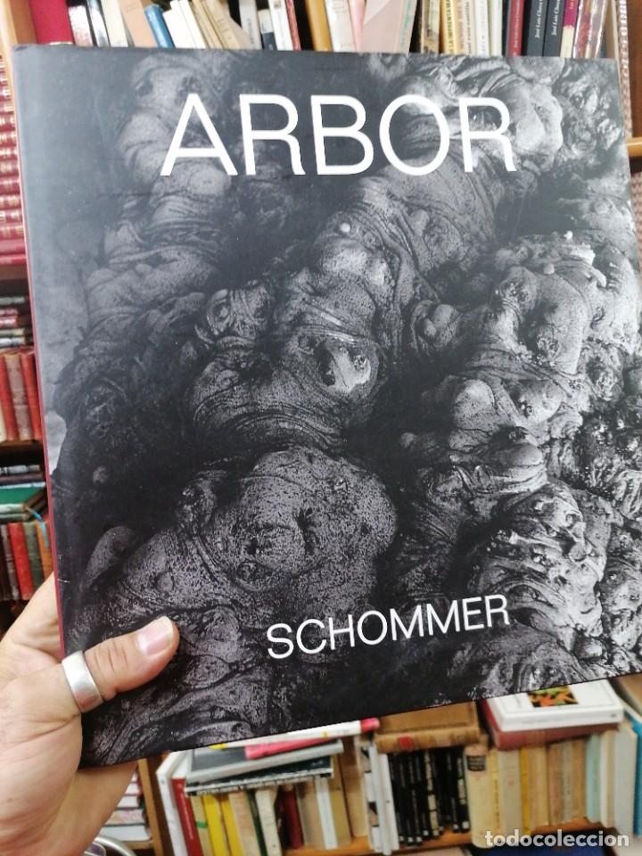 Libros de segunda mano: Arbor. Schommer - Foto 1