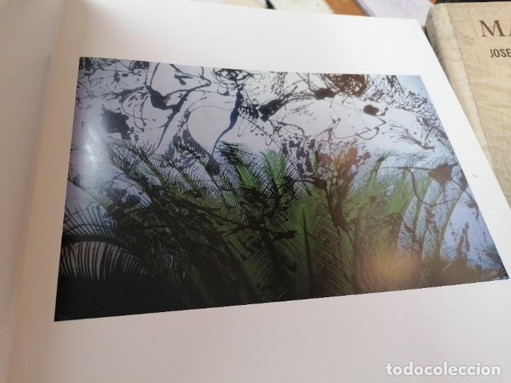 Libros de segunda mano: Arbor. Schommer - Foto 2