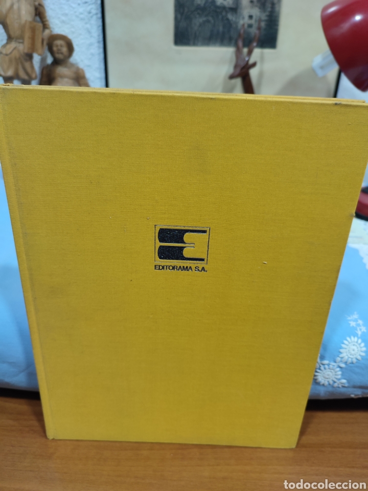 Second hand books: Los secretos decorativos de la instalaci&oacute;n comercial Nueva decoraci&oacute;n