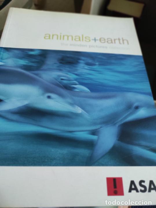 Second hand books: Animals + Earth : the Minden pictures collection Publicado por ASA, Madrid, 2001