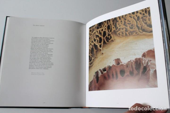 Libros de segunda mano: Toni Vidal - Roques de Menorca - Triangle Postals - Foto 6