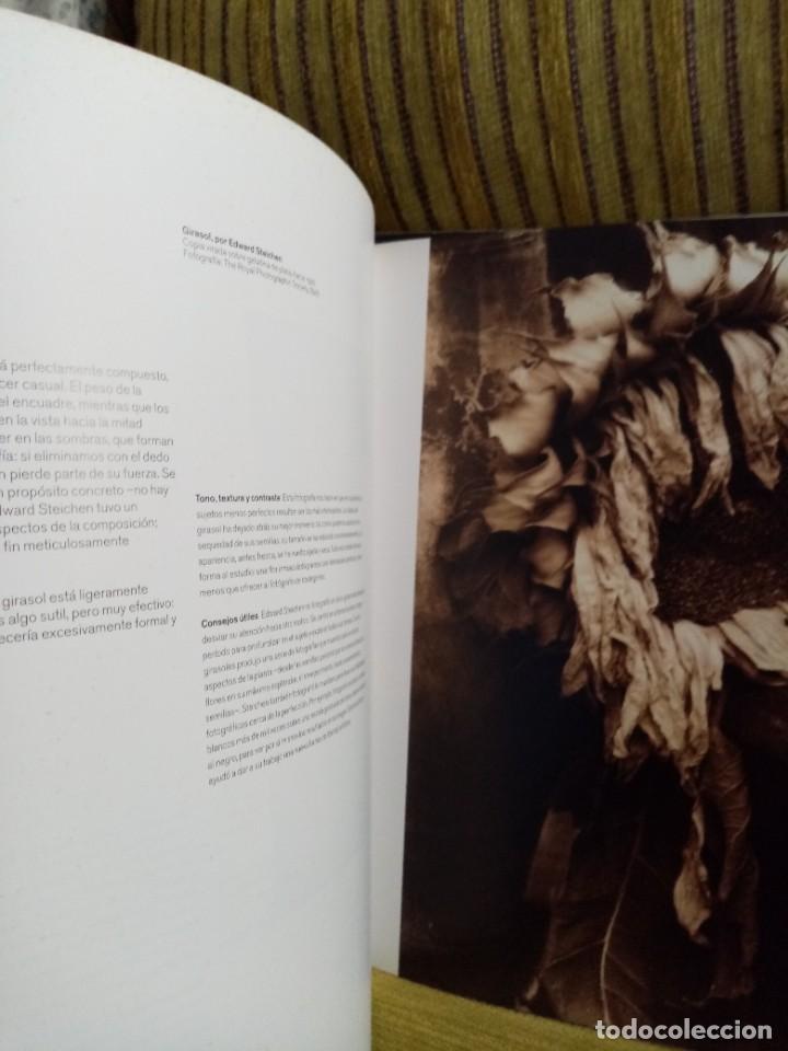 Libros de segunda mano: TERRY HOPE Bodegones - Foto 4
