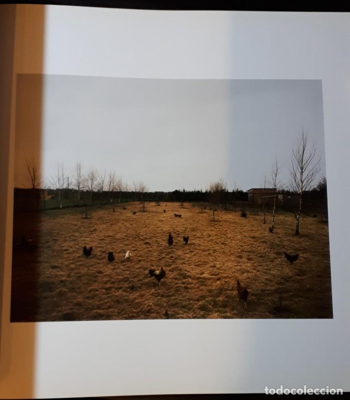 Libros de segunda mano: ANDREAS GURSKY - Foto 5