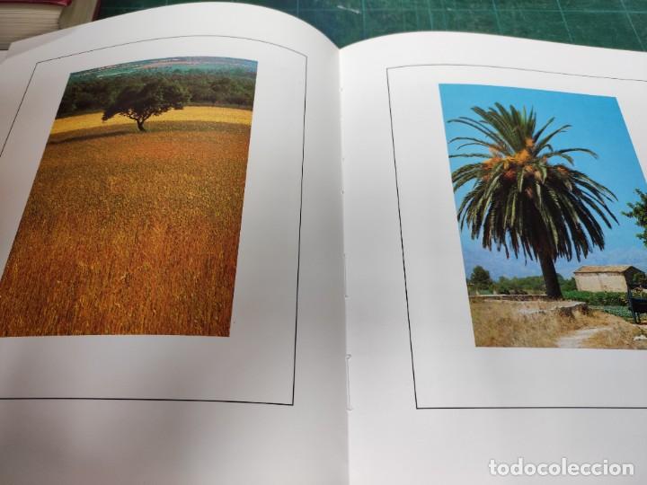 Libros de segunda mano: Mallorca. ,,,,,;,;,,,, - Foto 5