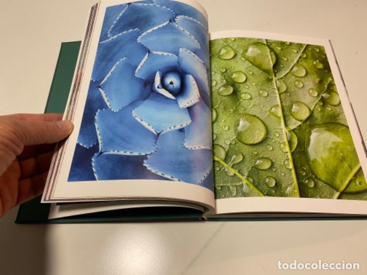 Libros de segunda mano: DETAILS LECTA&hellip;&hellip;&hellip;&hellip;&hellip;&hellip;&hellip;&hellip;&hellip; - Foto 3