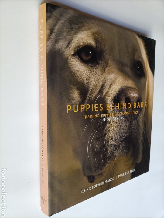 Gebrauchte B&uuml;cher: Puppies behind bars .Training puppies to change lives. Photographs Christopher makos Paul Solberg