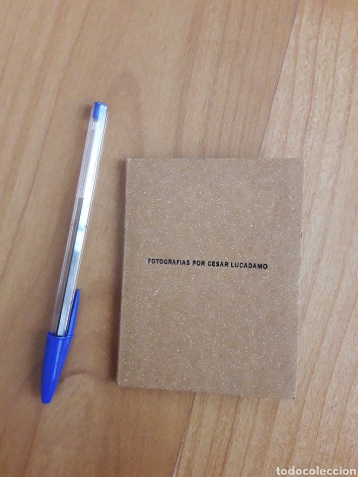 Gebrauchte B&uuml;cher: CAT&Aacute;LOGO DESPLEGABLE FOT&Oacute;GRAFO C&Eacute;SAR LUCADAMO. 1993