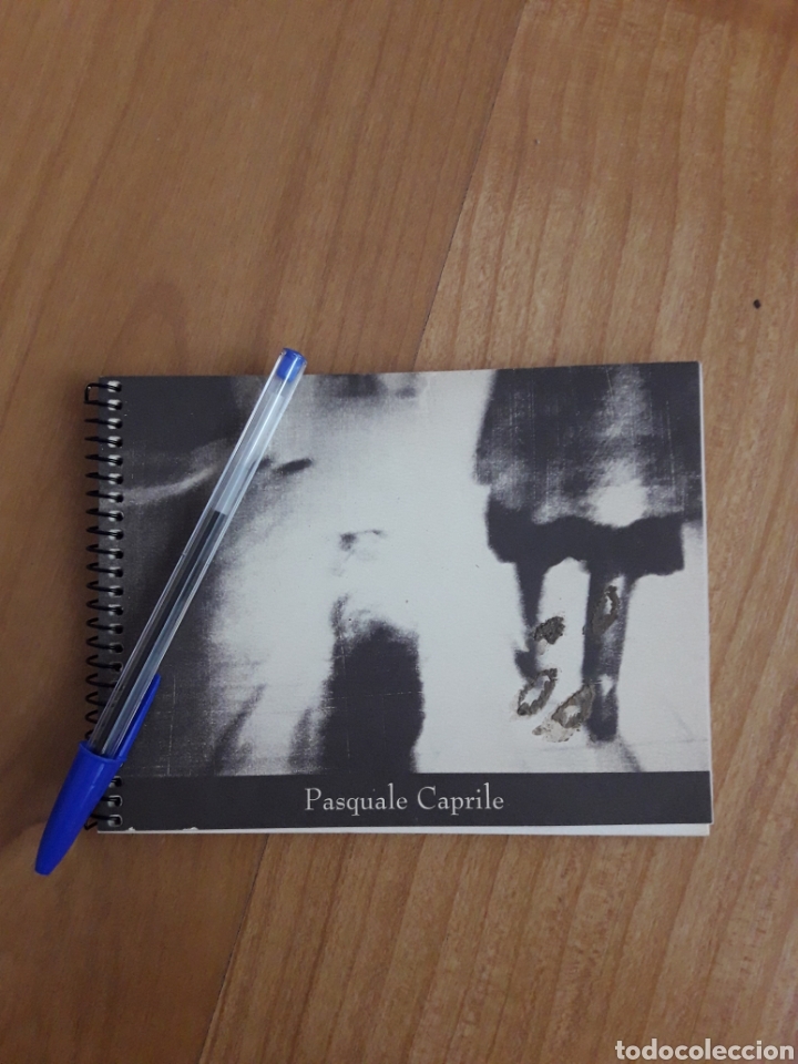 Gebrauchte B&uuml;cher: CAT&Aacute;LOGO FOTOGRAF&Iacute;A PASQUALE CAPRILE. D&Eacute;CADA 1990