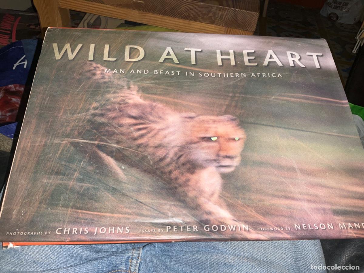 Gebrauchte B&uuml;cher: Wild at Heart : Man and Beast in Southern Africa Johns, Chris, Godwin, Peter Prologo mandela nelson