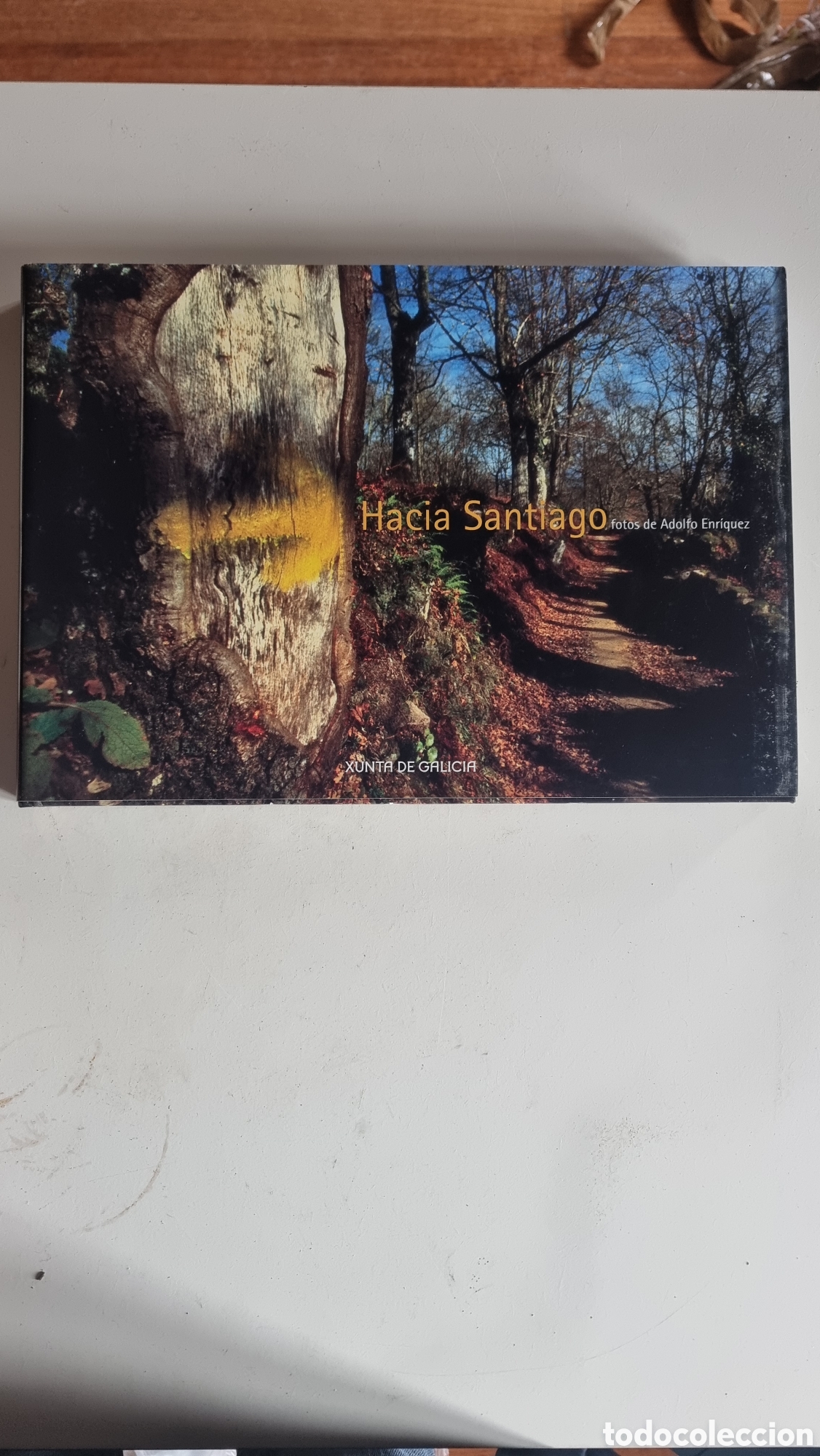 Second hand books: HACIA SANTIAGO