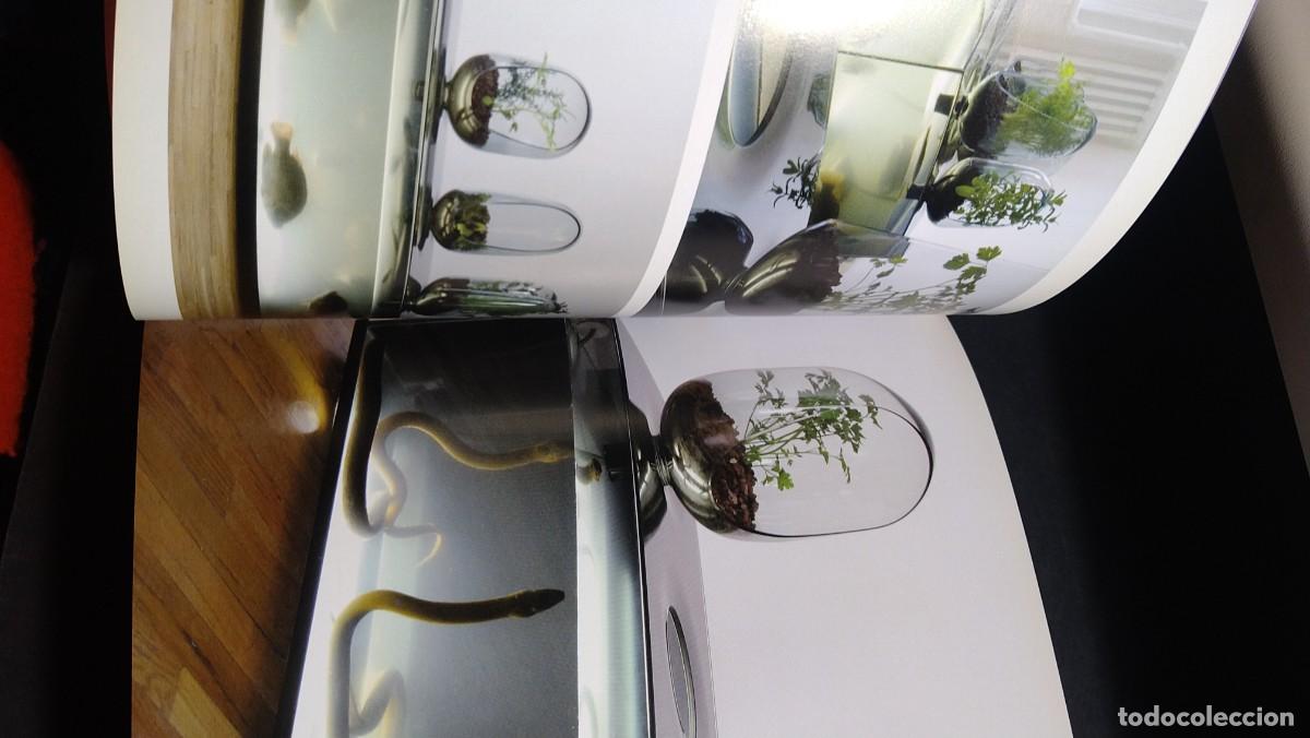 Libros de segunda mano: ESTILO DE VIDA ECOL&Oacute;GIC. ESTILO DE VIDA VERDE - Foto 8