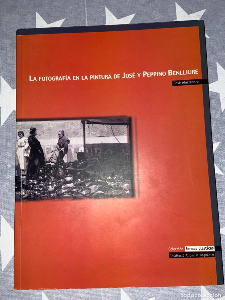 Second hand books: LA FOTOGRAFIA EN LA PINTURA DE JOS&Eacute; Y PEPPINO BENLLIURE. ALEIXANDRE, J. DIPUTACI&Oacute;N DE VALENCIA. 1999