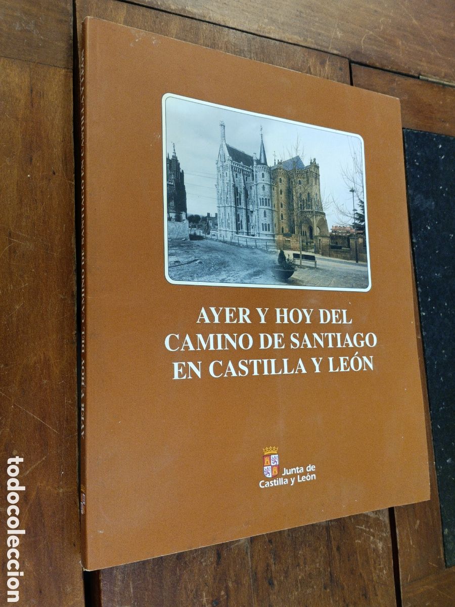 Second hand books: AYER Y HOY DEL CAMINO DE SANTIAGO EN CASTILLA Y LE&Oacute;N (Salamanca, 2004)