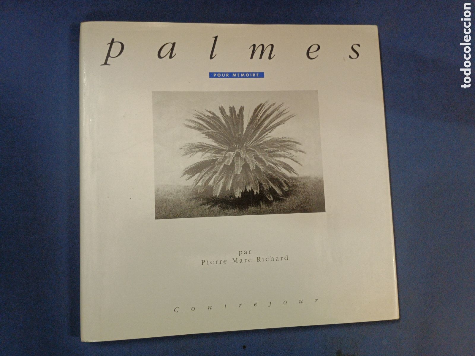 Libri di seconda mano: PALMES. POUT MEMOIRE. RICHARD, PIERRE MARC. CONTREJOUR. PARIS, 1991. PALMERAS. FOTOGRAF&Iacute;A