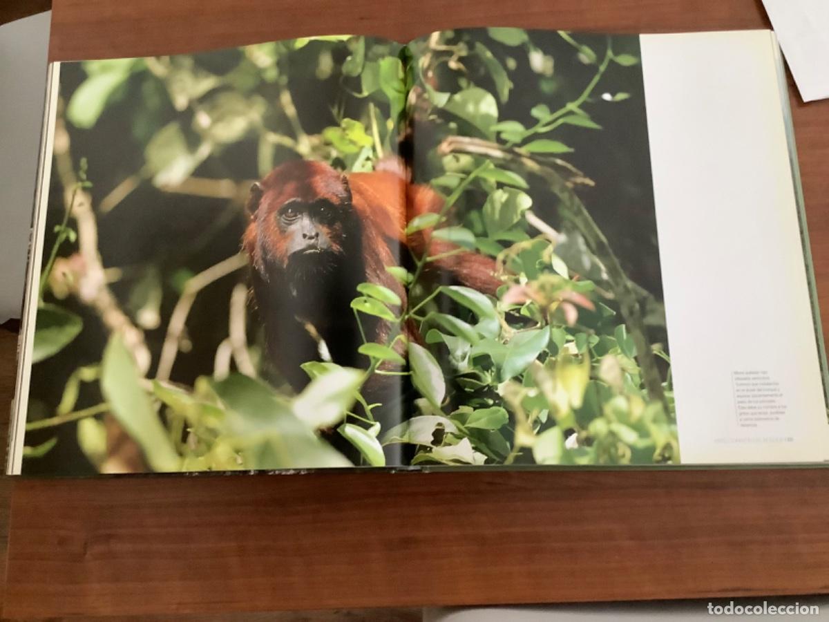 Libros de segunda mano: LIBRO DE LA AMAZONIA - Foto 2