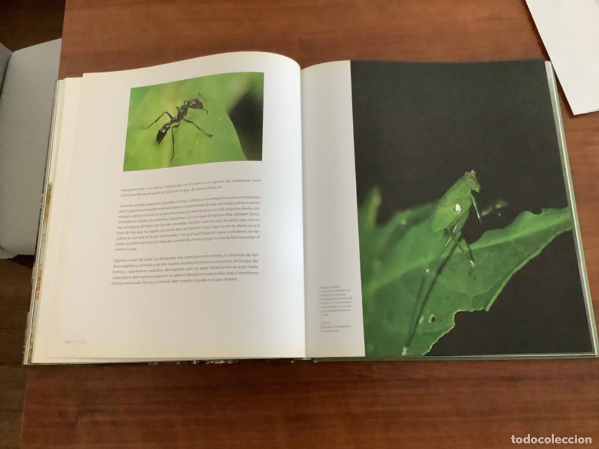 Libros de segunda mano: LIBRO DE LA AMAZONIA - Foto 3