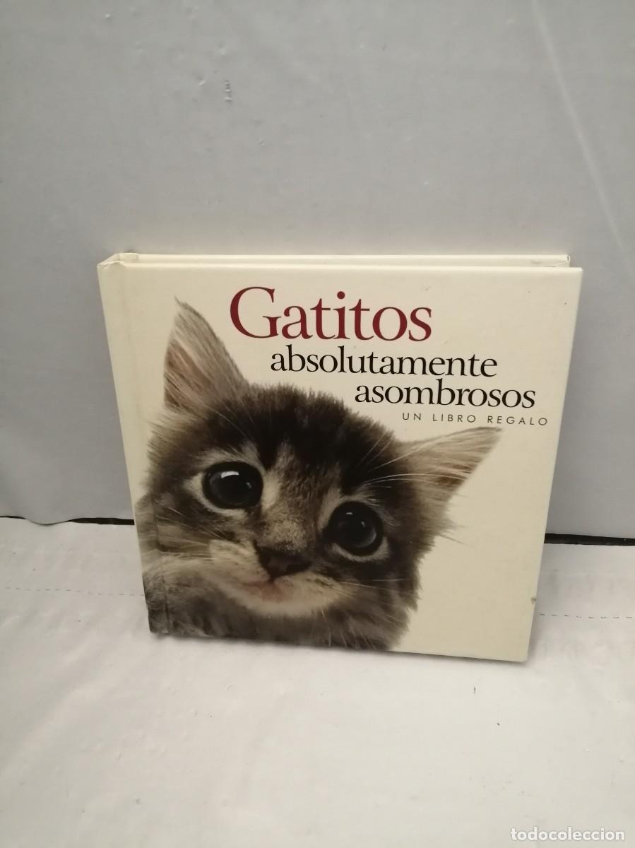 Gebrauchte B&uuml;cher: Gatitos absolutamente asombrosos (Un Libro Regalo, tapa dura)