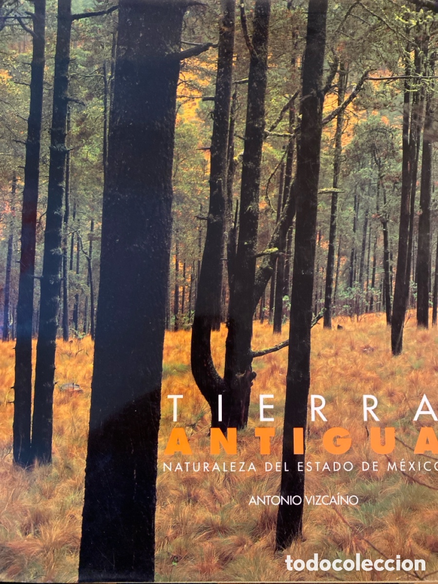 Gebrauchte B&uuml;cher: Tierra antigua naturaleza del estado de Mexico