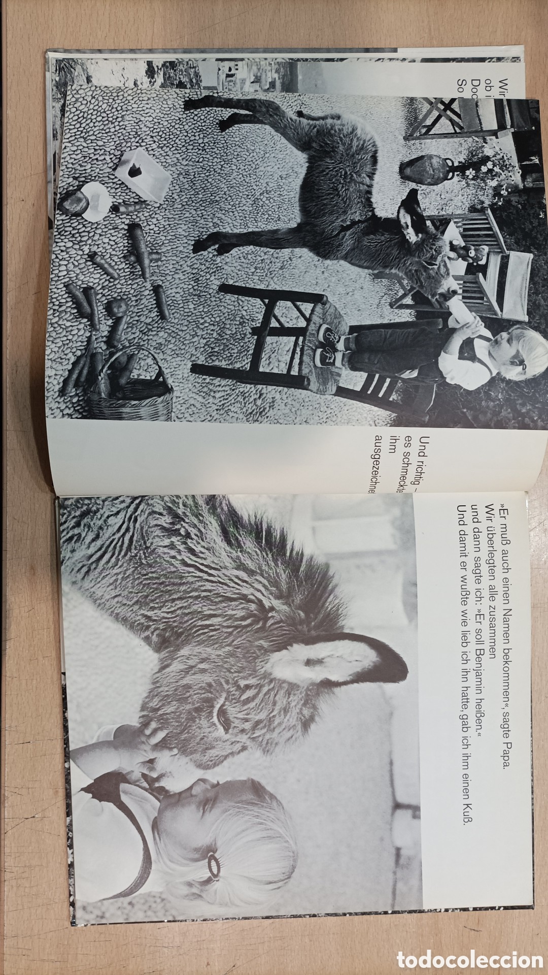 Libros de segunda mano: Mein Esel Benjamin - Foto 2