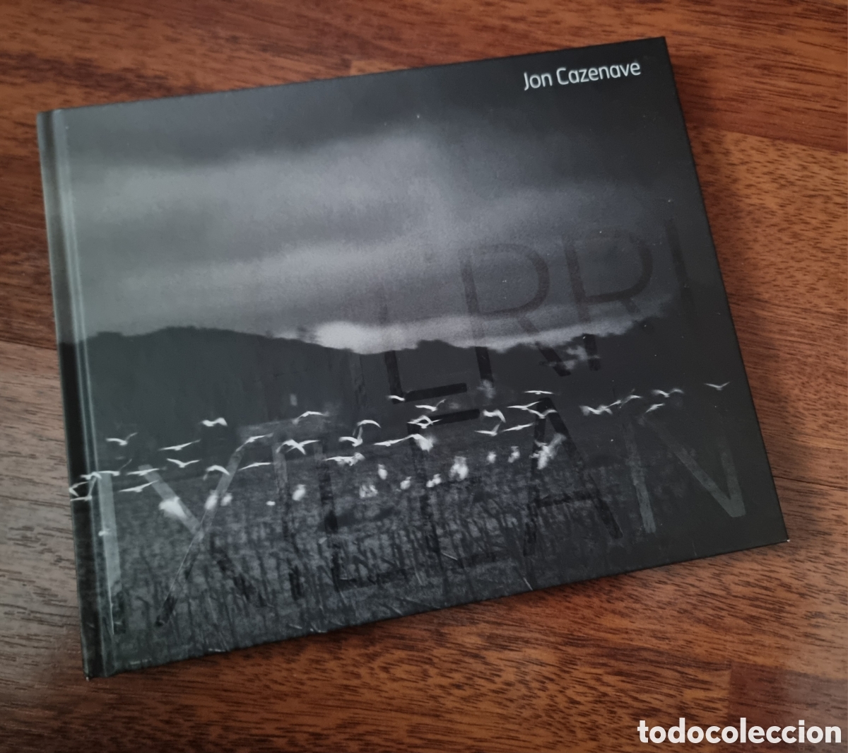 Libri di seconda mano: HERRI IXILEAN En el pa&iacute;s silencioso JON CAZENAVE GETXOPHOTO 2010