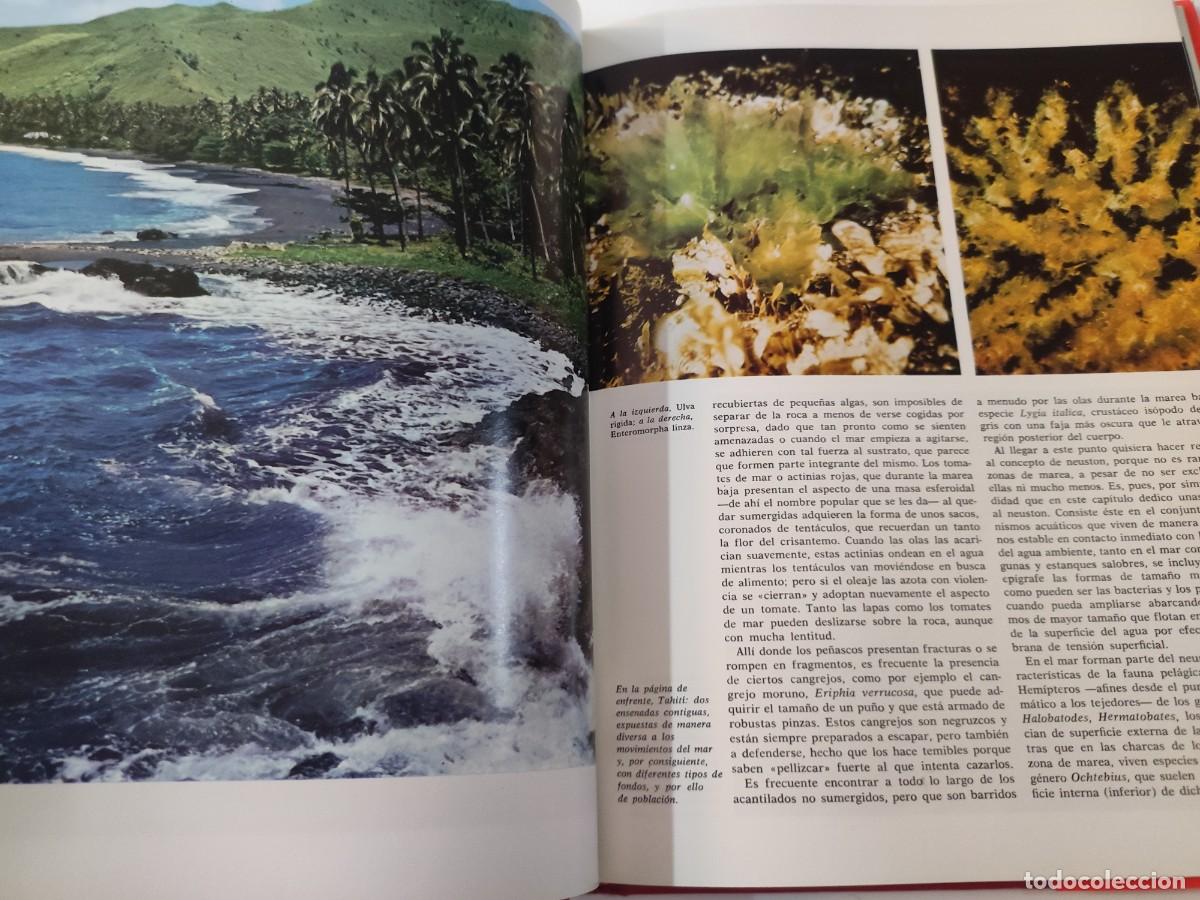 Libros de segunda mano: La vida en el mar. - Foto 4