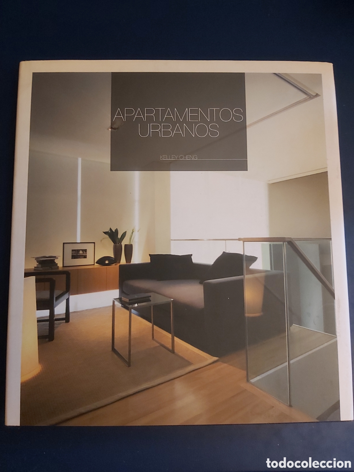 Libri di seconda mano: APARTAMENTOS URBANOS KELLEY CHENG 2006
