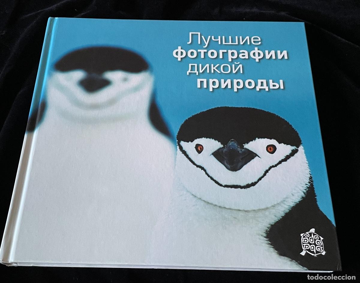 Second hand books: LIBRO DE FOTOGRAF&Iacute;A DEL CONCURSO RUSO GOLDEN TURTLE 2013